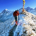 Dzongri Trek, Sikkim